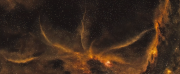 Nebulae image Images/N/NebulaJellyfish.png