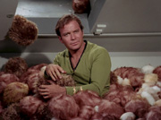 Gallery Image Tribbles<br>Image 1